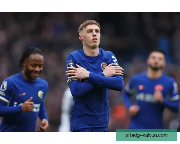 足球新星明星榜持续吸引关注，年轻球员表现抢眼引人注目